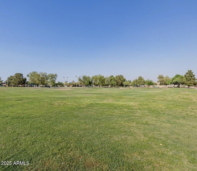 1591 S Sycamore Pl, Chandler, AZ 85286 - view of green lawn