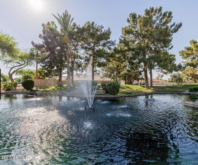 1591 S Sycamore Pl, Chandler, AZ 85286 - water view