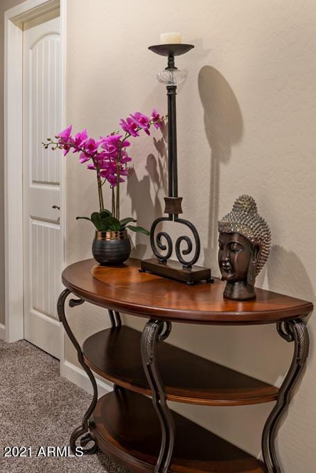 detailed view of carpet and baseboards