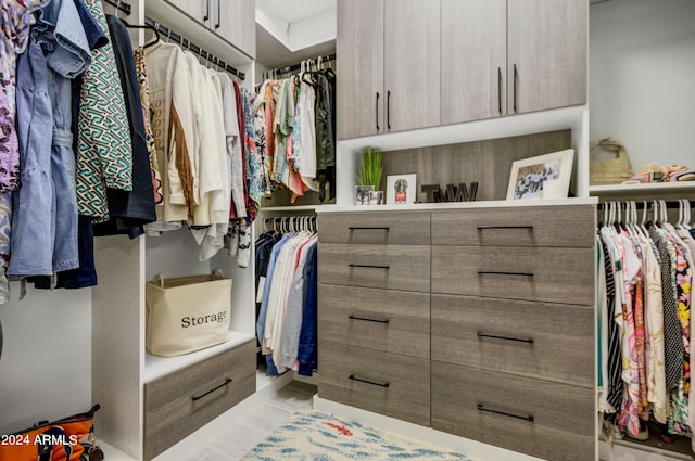 view of walk in closet