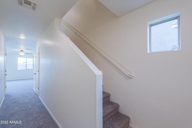 staircase with carpet flooring