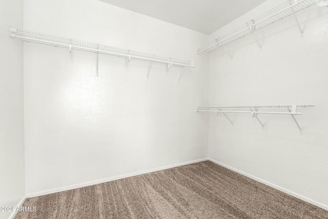 walk in closet with carpet flooring