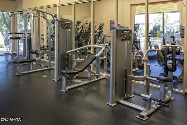 workout area featuring a wealth of natural light