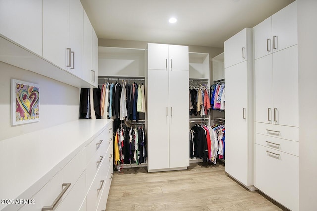 spacious closet featuring light wood-style flooring