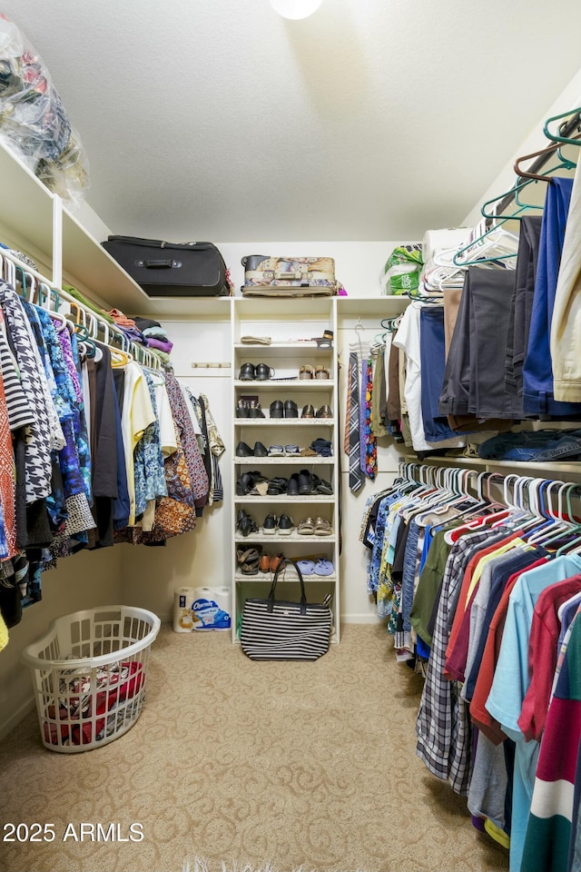 walk in closet with carpet flooring