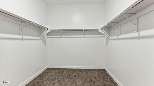 walk in closet featuring dark colored carpet