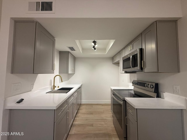 kitchen featuring stainless steel appliances, gray cabinetry, a sink, and a raised ceiling