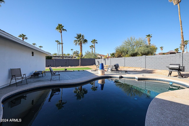 view of pool with area for grilling and a patio area