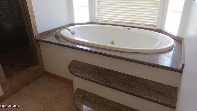 26215 N 115th Ave, Peoria, AZ 85383 - full bathroom featuring plenty of natural light, a shower stall, a whirlpool tub, and tile patterned floors