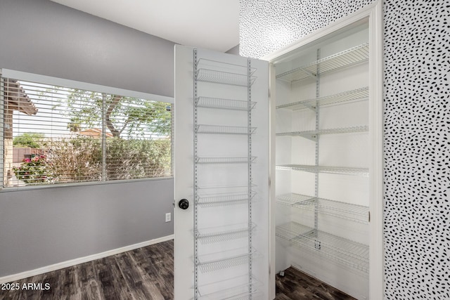 16118 W Morning Glory St, Goodyear, AZ 85338 - view of pantry