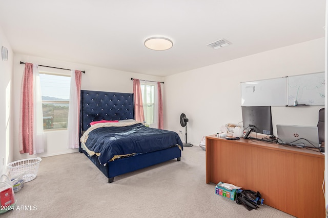 carpeted bedroom featuring multiple windows