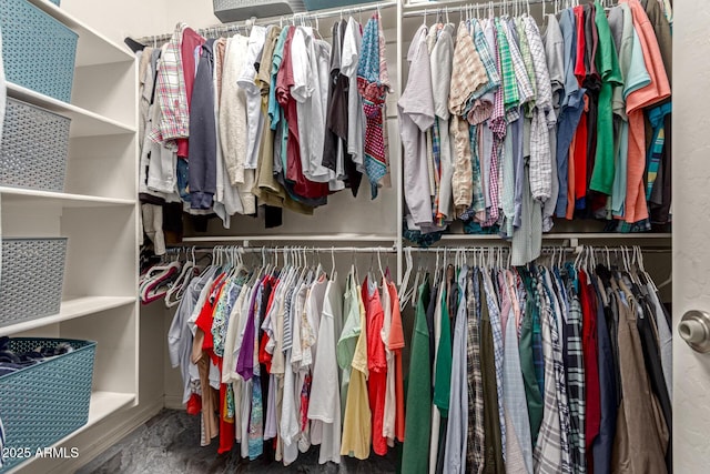 view of spacious closet