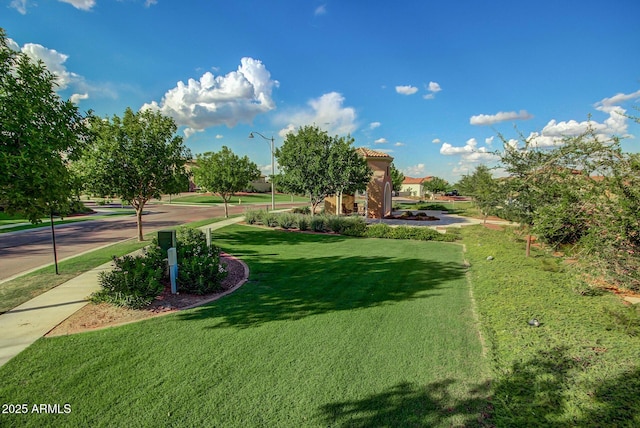 view of property's community with a yard