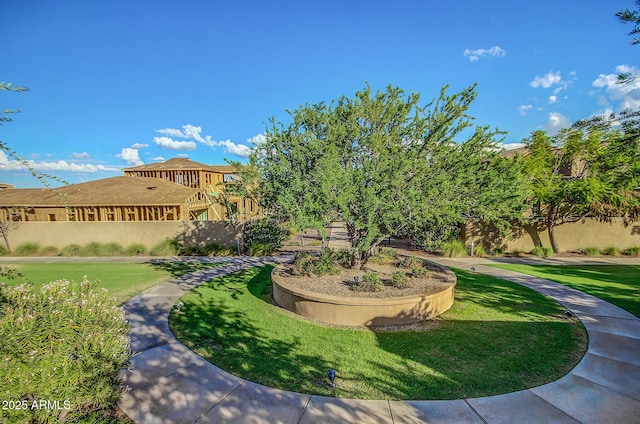 view of community featuring a lawn