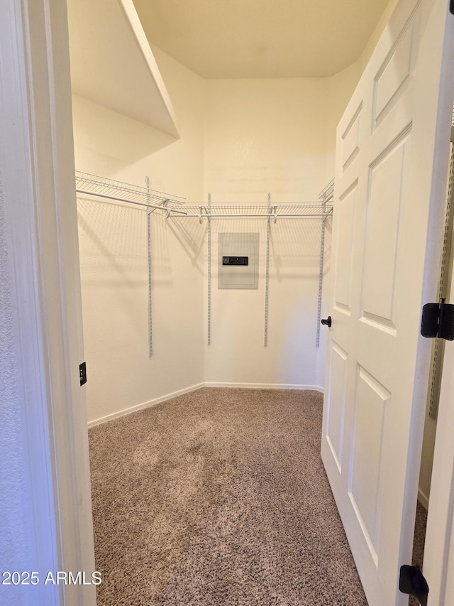 walk in closet featuring carpet