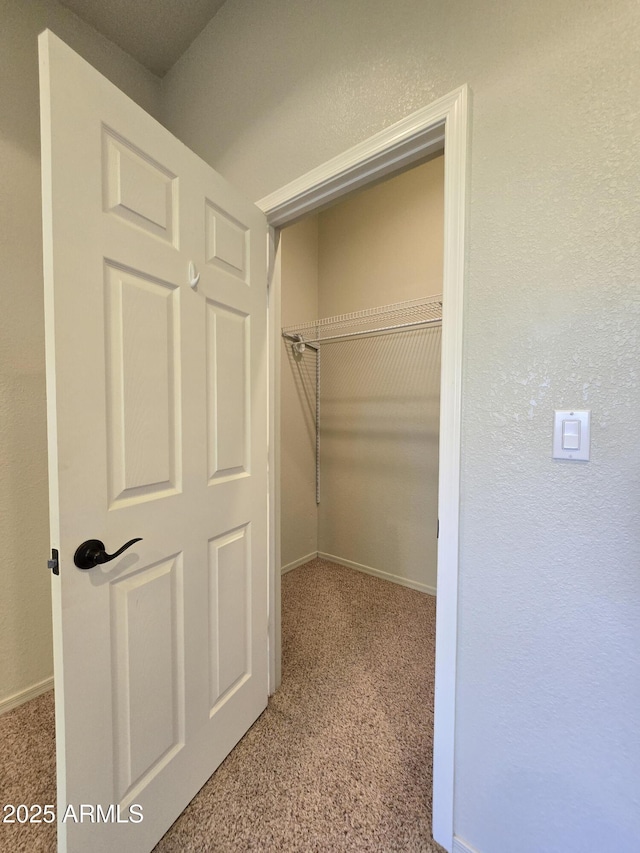 walk in closet with light carpet