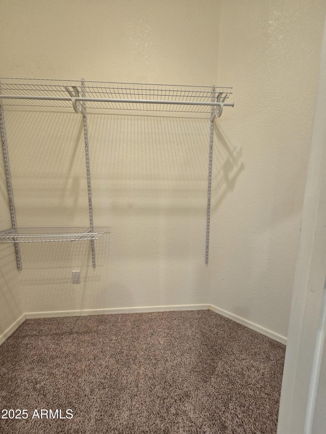 spacious closet with carpet floors