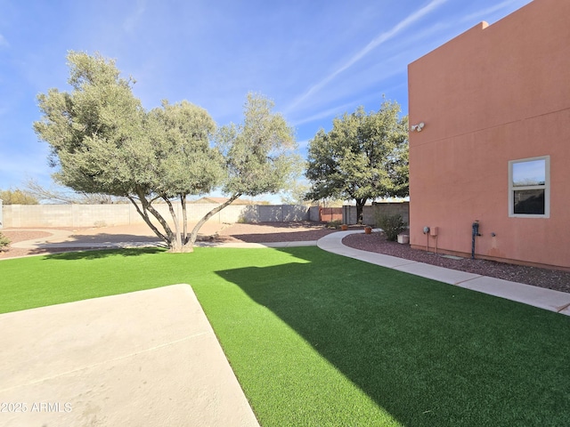 view of yard featuring a patio area