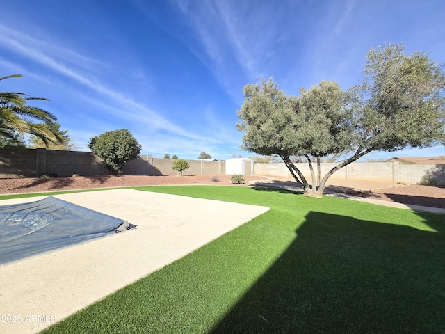 view of yard featuring a patio