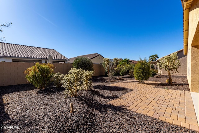 view of yard with a patio area and a fenced backyard