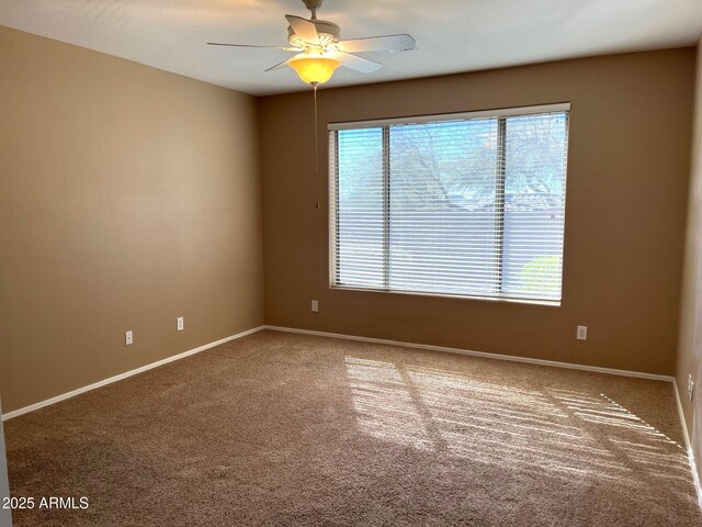 carpeted spare room with ceiling fan and a wealth of natural light