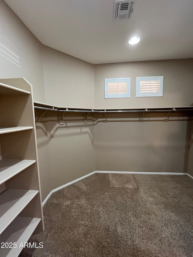 walk in closet with carpet flooring