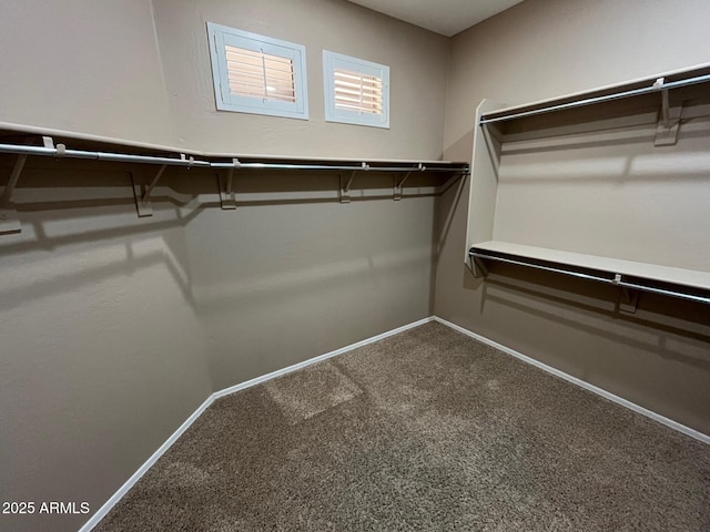 spacious closet featuring carpet floors