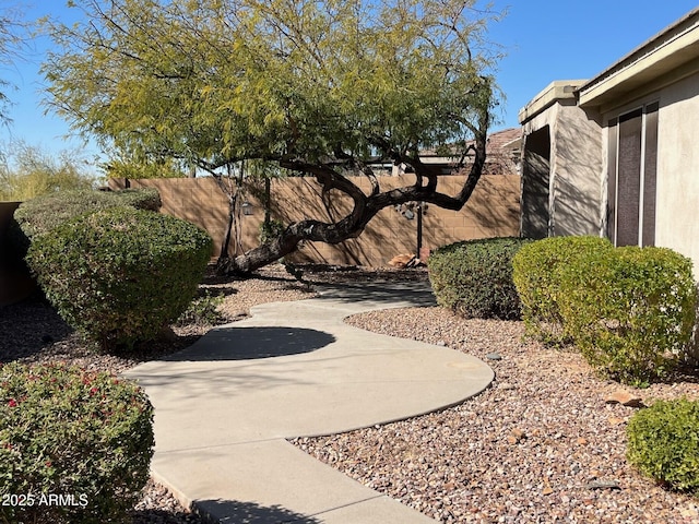 view of yard with a patio