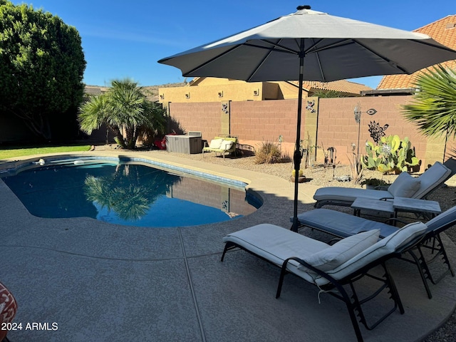 view of swimming pool featuring a patio