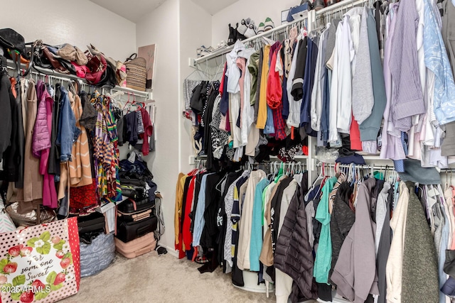 spacious closet with carpet flooring