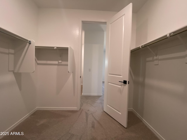 walk in closet with carpet floors