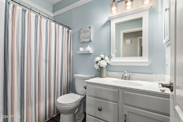 bathroom featuring a shower with curtain, vanity, and toilet