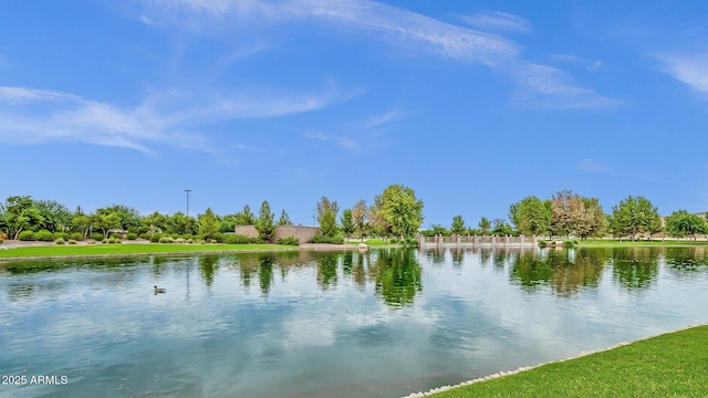 3863 S Posse Trl, Gilbert, AZ 85297 - water view