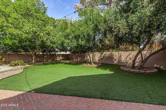 view of yard with a fenced backyard