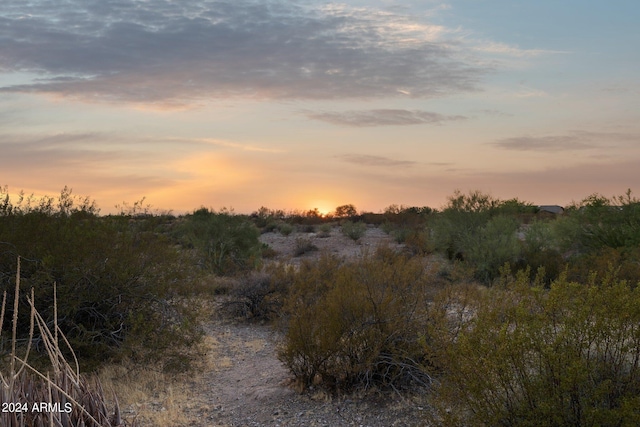 view of nature at dusk