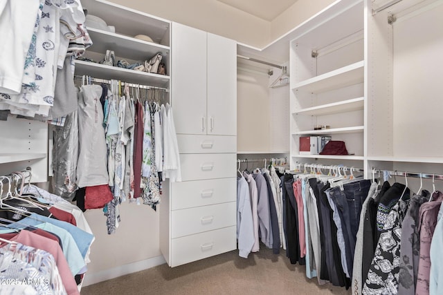 walk in closet with carpet