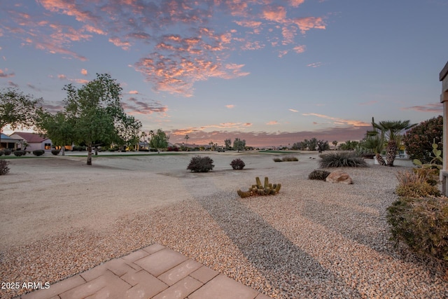 view of yard at dusk