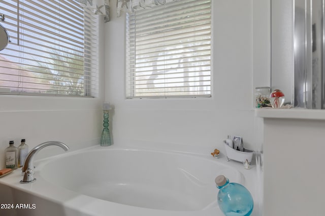 bathroom featuring a bathing tub