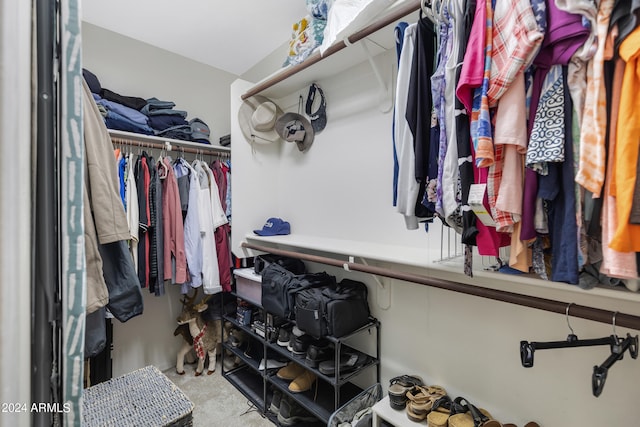 walk in closet with light colored carpet