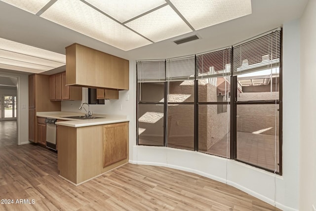 kitchen with dishwasher, sink, and light wood-type flooring