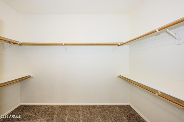 walk in closet featuring carpet flooring