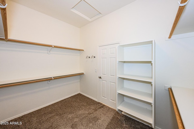 walk in closet with attic access and dark colored carpet