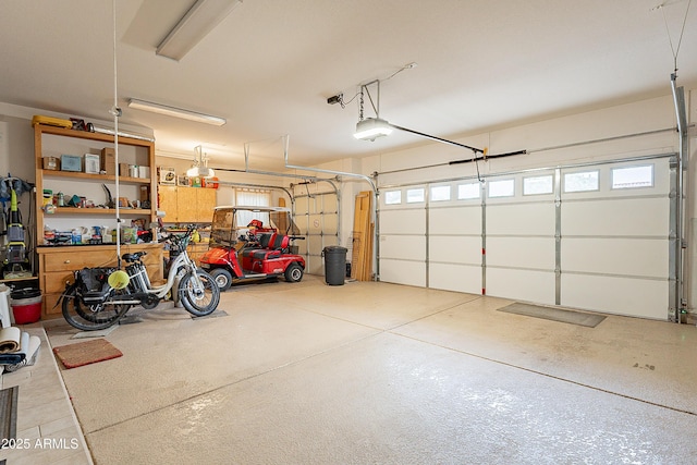 garage with a garage door opener