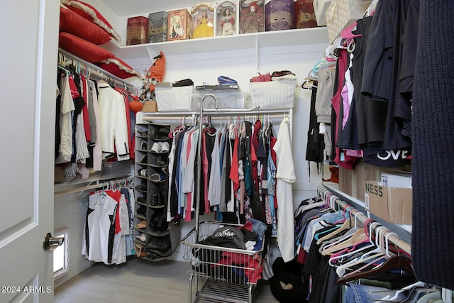 view of spacious closet