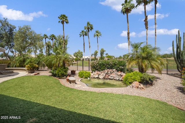 3394 N 147th Ln, Goodyear, AZ 85395 - view of yard