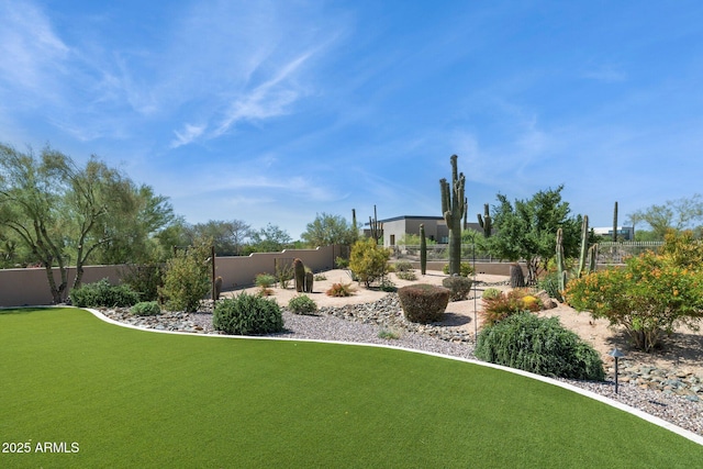 6450 E Monterra Way, Scottsdale, AZ 85266 - view of yard