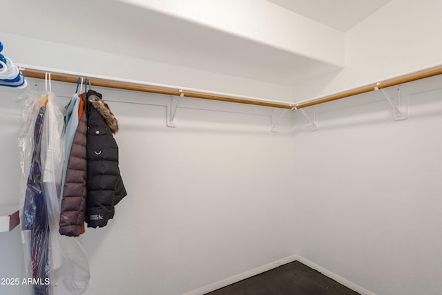 view of spacious closet