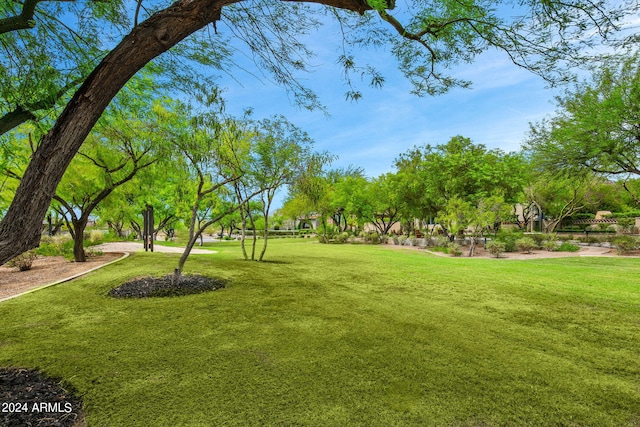 view of property's community with a yard