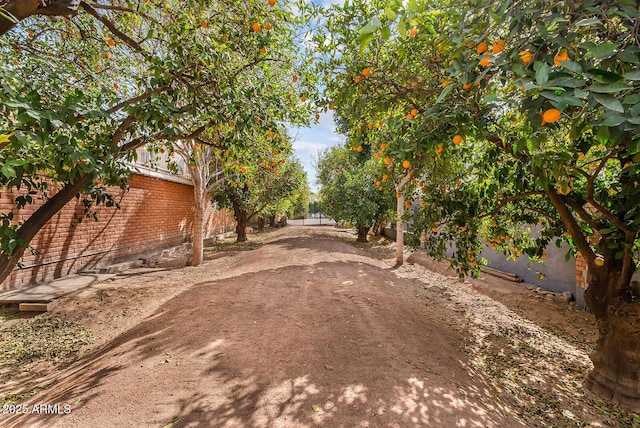 view of road