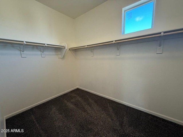 spacious closet with carpet